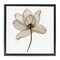 Stupell Industries Beige Opaque Flower Framed Floater Canvas Wall Art Design by Nan